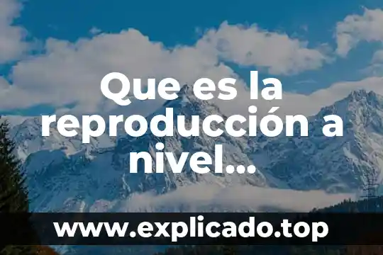 Que es la reproduccion y para que es importante 5 Que es la reproducción a nivel organismo