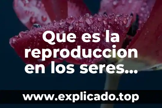 Que es la reproduccion y para que es importante 8 Que es la reproduccion en los seres unicelulares