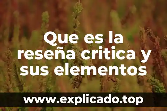 Que es derecho y sus elementos 6 Que es la reseña critica y sus elementos