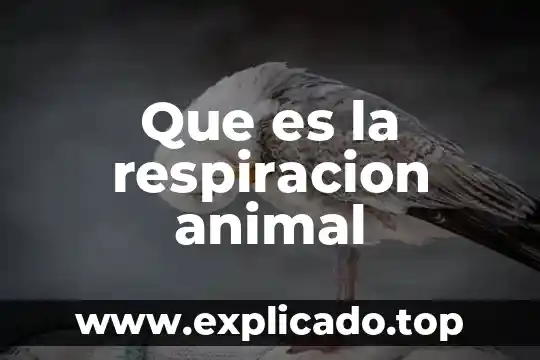Para que es util un totem o animal de poder 8 Que es la respiracion animal