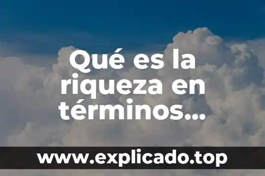 En terminos contables que es pasivo 7 Qué es la riqueza en términos financieros