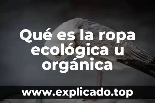 Qué es la ropa ecológica u orgánica