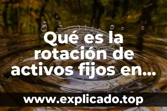 Qué es mejor dientes fijos o removibles 7 Qué es la rotación de activos fijos en contabilidad