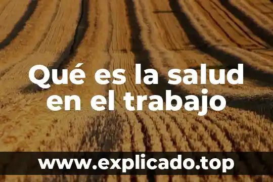 Según Platón, qué es el conocimiento 7 Qué es la salud en el trabajo