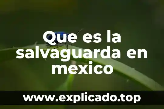 Que es un cholo en mexico 3 Que es la salvaguarda en mexico