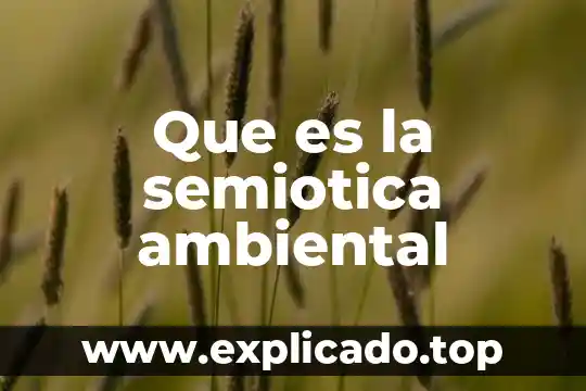 Que es la semiotica y donde se aplica 3 Que es la semiotica ambiental