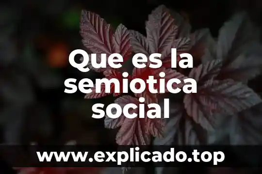 Que es la semiotica y donde se aplica 4 Que es la semiotica social