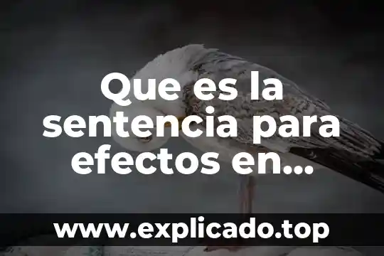 Que es un sentencia en programacion 4 Que es la sentencia para efectos en amparo