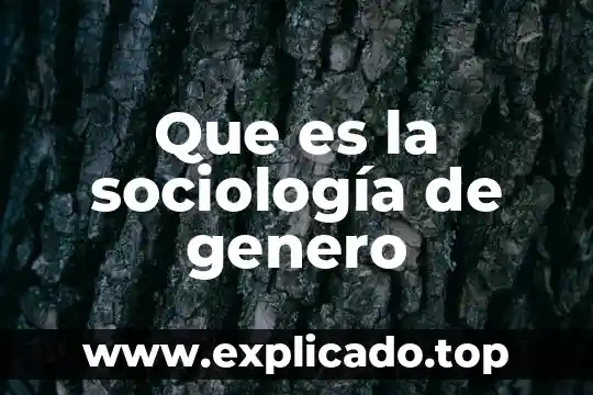 Qué es lo que hace la sociología educativa 3 Que es la sociología de genero