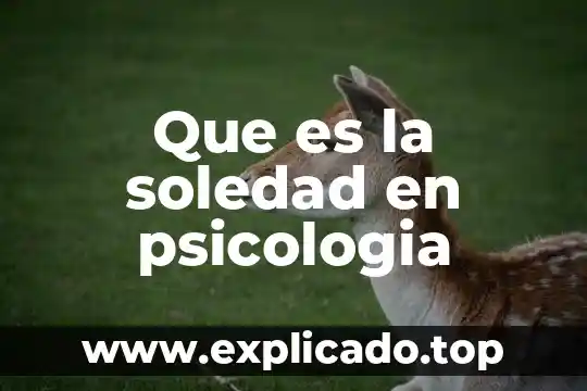 Que es la soledad en psicologia