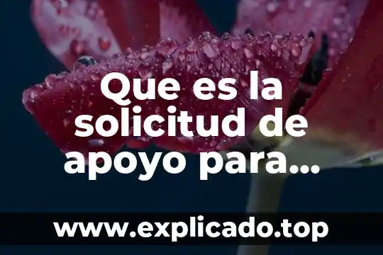Que es una estancia en programacion 5 Que es la solicitud de apoyo para servicio estancia infantil