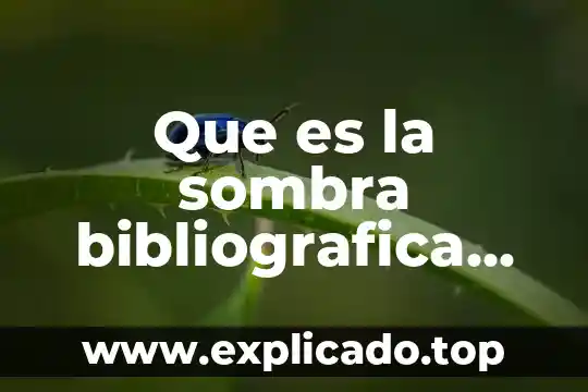 Que es bibliografia del autor 3 Que es la sombra bibliografica del autor