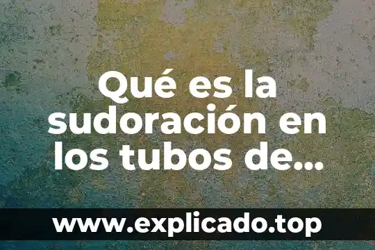 Desarrollo que es en un ensayo 3 Qué es la sudoración en los tubos de ensayo
