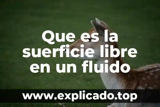 Que es un carboxilo libre 5 Que es la suerficie libre en un fluido