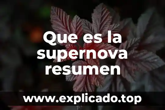 Que es la doctrina monroe resumen 6 Que es la supernova resumen
