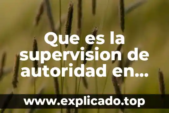 Que es ser autoridad en la familia 3 Que es la supervision de autoridad en una empresa