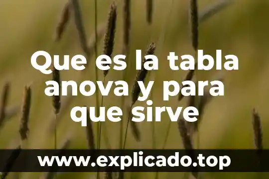 Que es cmmi y para que sirve 6 Que es la tabla anova y para que sirve