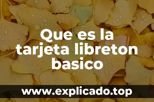 Que es una tarjeta por promoci贸n 7 Que es la tarjeta libreton basico