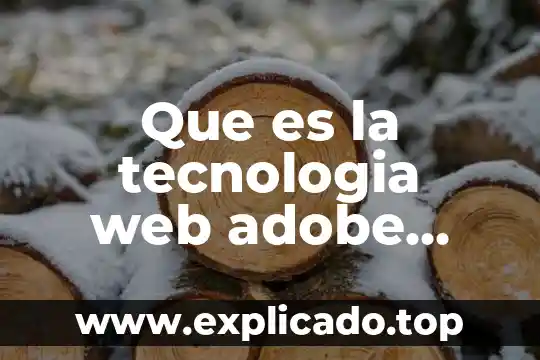 Que es una linea del tiempo en flash cs3 4 Que es la tecnologia web adobe flash