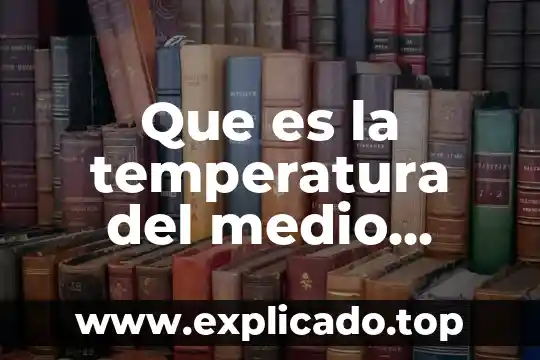 Qué es el medio ambiente para niños de preescolar definición 3 Que es la temperatura del medio ambiente