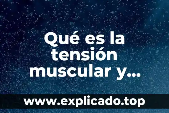 Que es media tension electrica 8 Qué es la tensión muscular y fuerza gym