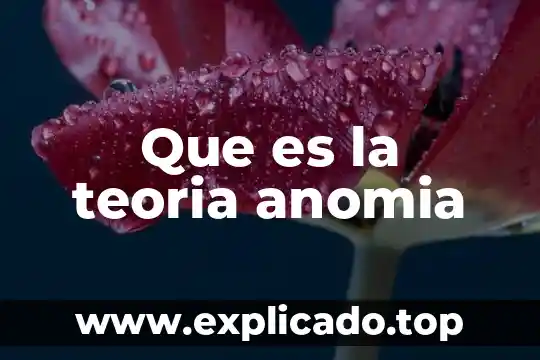 Qué es la teoría crítica y sus máximos representantes 3 Que es la teoria anomia