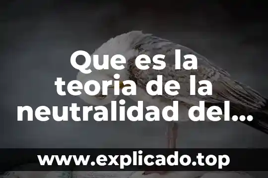 Que es la teoria de la neutralidad del dinero