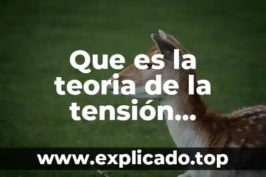 Que es media tension electrica 4 Que es la teoria de la tensión cohesión