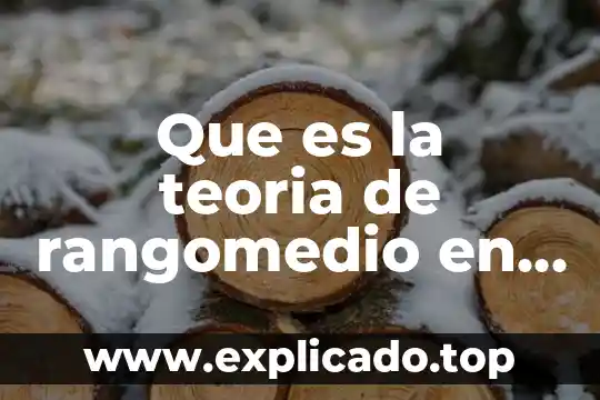 Que es la teoria de rangomedio en investigación enfermería