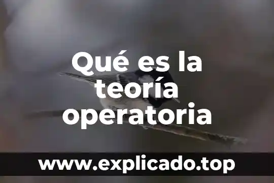 Que es el cartucho de carbon activo 3 Qu茅 es la teor铆a operatoria
