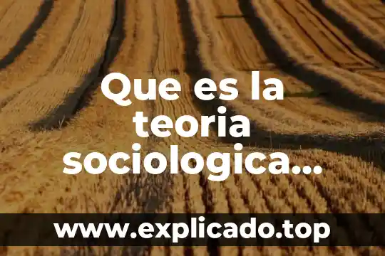 Que es punto de origen en aeronautica 5 Que es la teoria sociologica origen