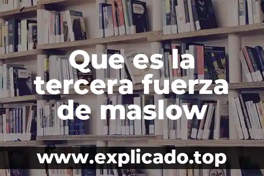 Teoria de la personalidad de maslow que es 4 Que es la tercera fuerza de maslow