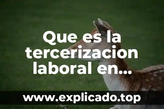 Que es la competencia adm en mexico 8 Que es la tercerizacion laboral en mexico