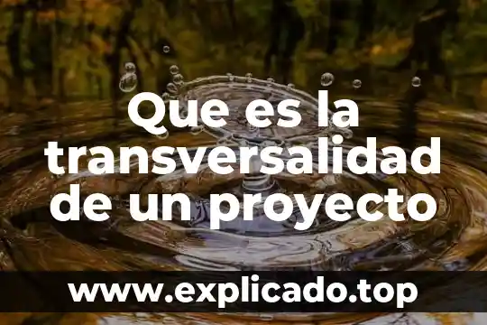 Que es un ari proyecto 4 Que es la transversalidad de un proyecto