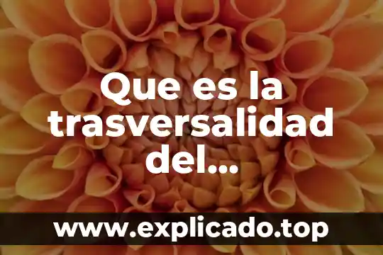 Que es la trasversalidad del conocimiento isnn