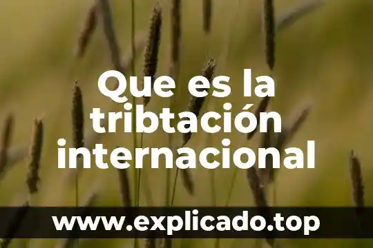 Que es la tribtación internacional