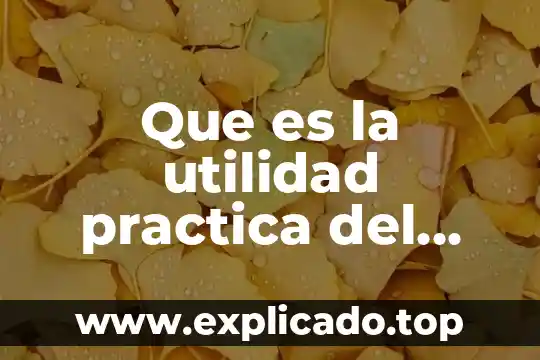 Utilidad por acci贸n que es 6 Que es la utilidad practica del estudio