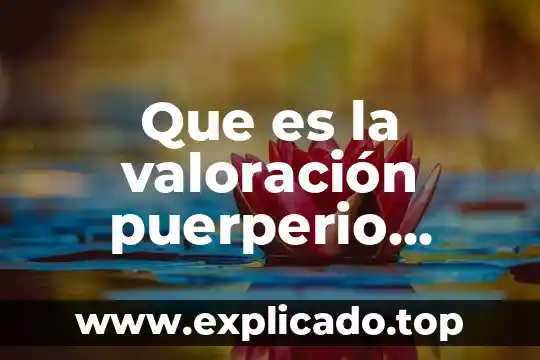 Que es quimico para la materia de formacion 3 Que es la valoración puerperio quimico