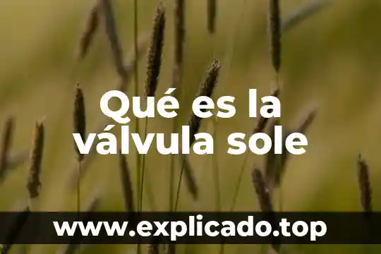 Válvula reguladora de presión que es 6 Qué es la válvula sole