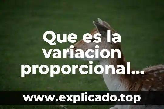 Por que es importante medir la variacion 4 Que es la variacion proporcional con ejemplos