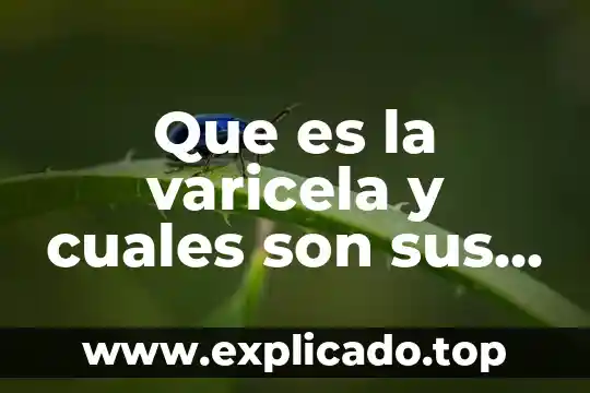Que es un navegador y cuales son los mas utilizados 4 Que es la varicela y cuales son sus sintomas