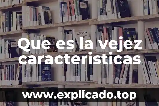 Que es un ocelote y sus caracteristicas 6 Que es la vejez caracteristicas