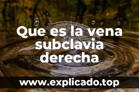 Que es derecha en partido de gobiernoyputube 6 Que es la vena subclavia derecha