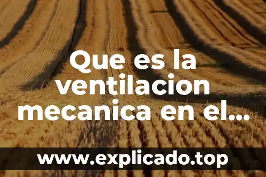 Qué es rampa en ventilación mecánica 8 Que es la ventilacion mecanica en el recien nacidos