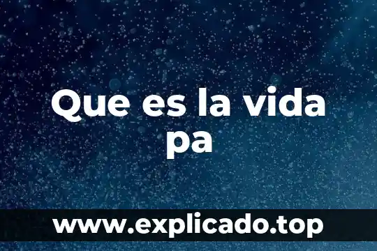 Qué es vida útil de un proyecto 8 Que es la vida pa
