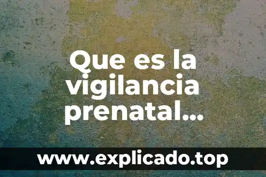 Que es la vigilancia prenatal objetivo