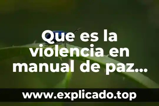 Qué es un manual general de organizaciones 6 Que es la violencia en manual de paz y conflicto