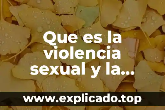Qué es violencia en noviazgo 8 Que es la violencia sexual y la domestica