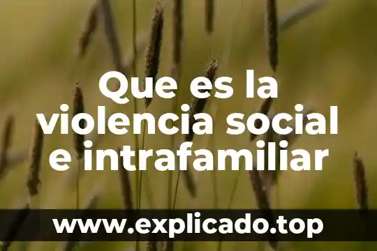 Que es la violencia sexual y la domestica 5 Que es la violencia social e intrafamiliar