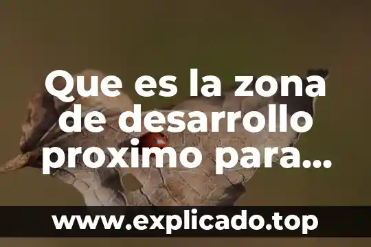 Que es la zona libre en tijuana 4 Que es la zona de desarrollo proximo para vigotsky